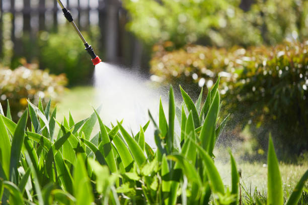 24/7 Emergency Termite Control experts in Grand Forks AFB, ND